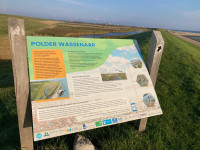 Polder Wassenaar